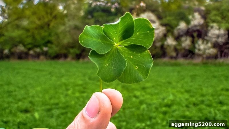 捕鱼达人h5视角：彩票知识宣传力度的真实提升路径解析