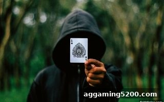 捕鱼达人h5×雷霆战警：数据洞察的精准进化之道