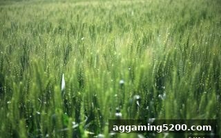 捕鱼达人h5带你全面解析腾讯分分彩老用户存款返利政策