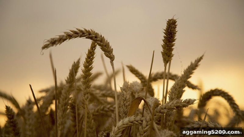 捕鱼达人h5每日返现终极指南：从规则到收益最大化的实战策略