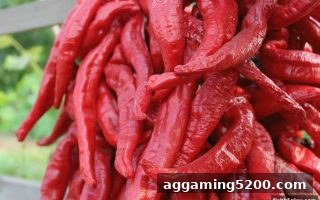 捕鱼达人h5注册活动深度解析：从核心逻辑到实战策略