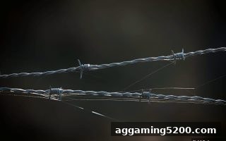捕鱼达人h5深度解析：提现难题与爆分奥秘全攻略