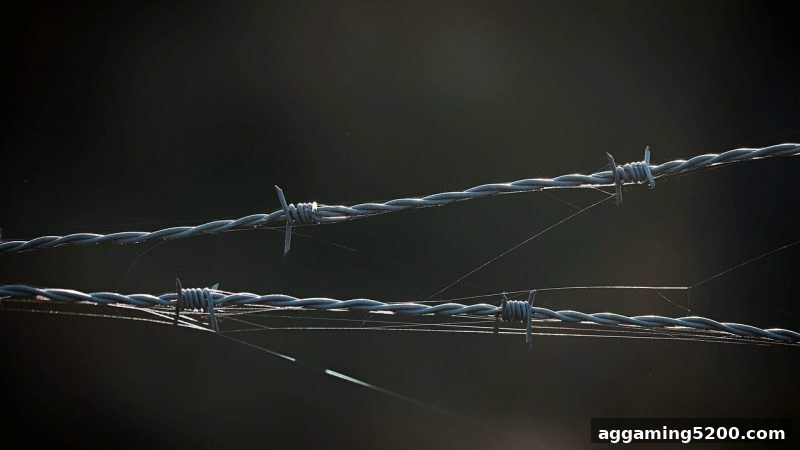 捕鱼达人h5深度解析：提现难题与爆分奥秘全攻略